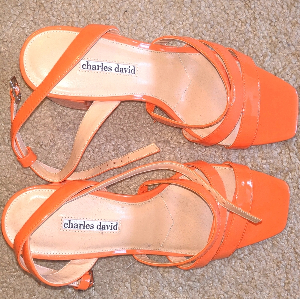 Crispin Ankle Strap Sandals Charles David NWOT